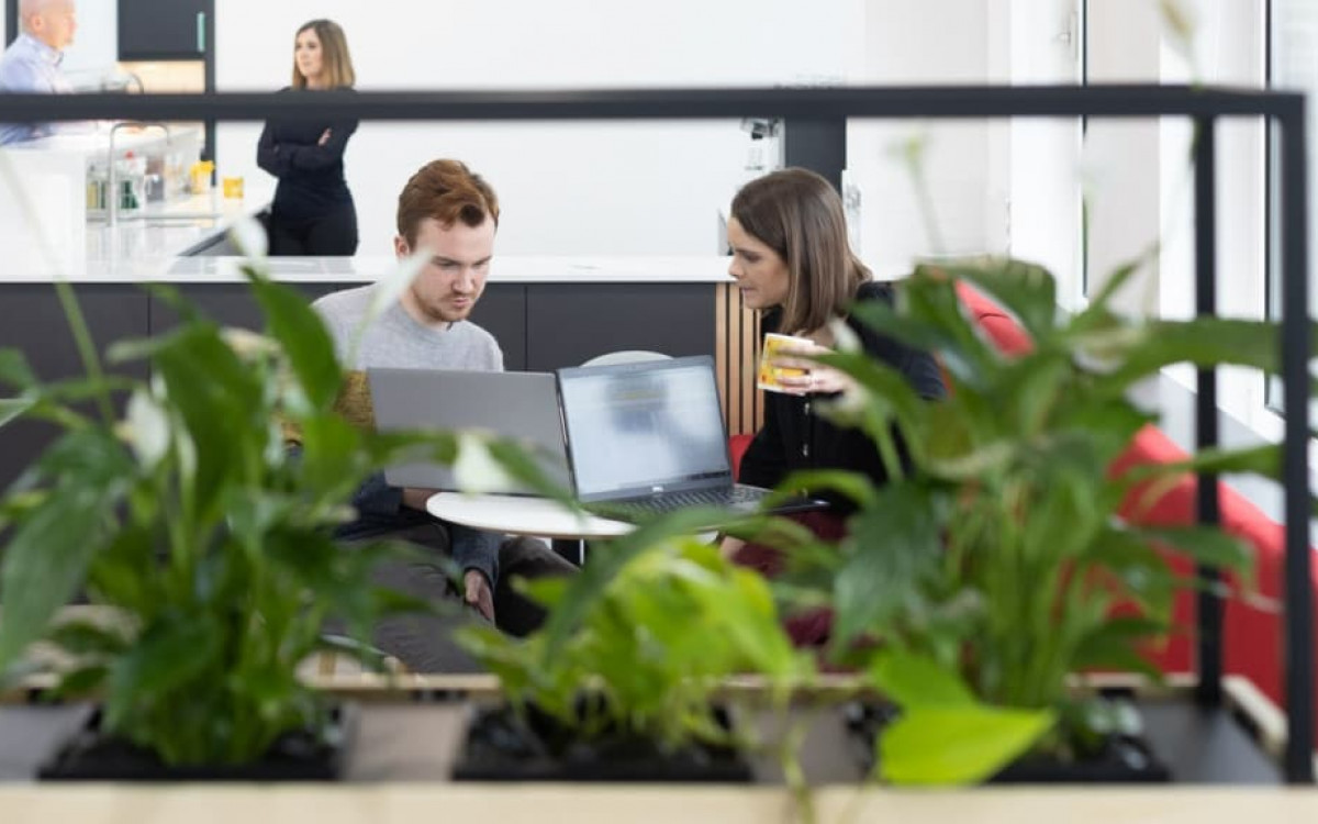 Employees in the office in Baar, Switzerland