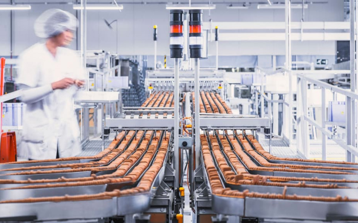 Production of Biscoff Cookie